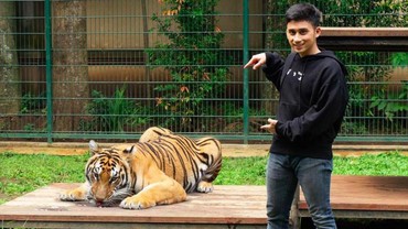 Aib Hamili Nissa Asyifa Terungkap, Alshad Ahmad Liburan ke Alam Liar