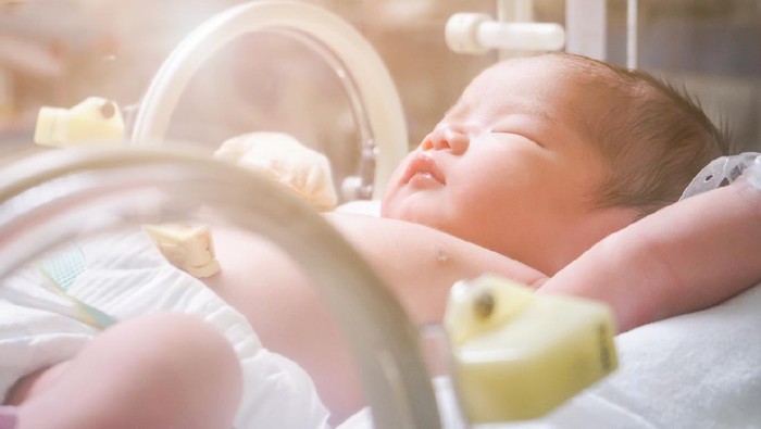 bayi baru lahir