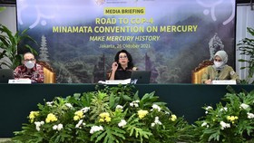 Indonesia Siap Jadi Tuan Rumah COP-4 Konvensi Minamata