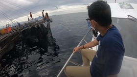 Sandiaga Ungkap Pengalaman Jumpa Hiu Paus di Pulau Namatota