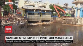 VIDEO: Sampah Kiriman Menumpuk di Pintu Air Manggarai