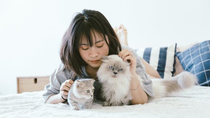 Tes Kepribadian Berdasarkan Hewan Peliharaan, Benarkah yang Pelihara Ikan Itu Humoris?