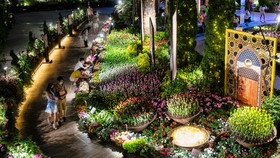 FOTO: Kebun Tulip di Negara Singa