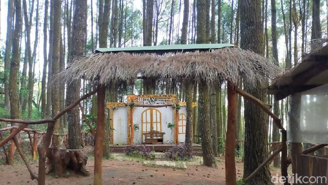 4 Wisata Alam yang Sekaligus Pernah Jadi Tempat Syuting Film Horor, Tertarik ke Sini?