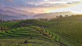 7 Destinasi Berhawa Dingin di Indonesia, selain Bogor dan Bandung