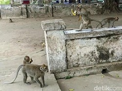 3 Cerita Pesugihan Paling Terkenal di Jawa Timur