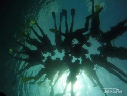 Pulau Pahawang, Surga Bawah Laut Andalan Provinsi Lampung