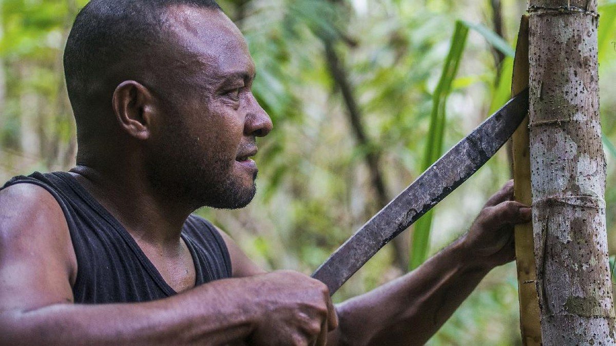 FOTO: Lukisan Kayu Papua, Warisan Turun Temurun di Sentani