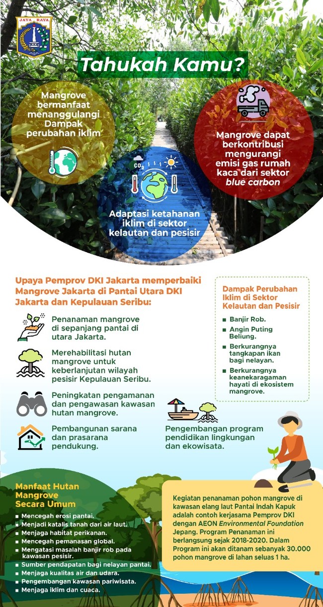 Mangrove memiliki banyak manfaat, mulai dari mengurangi emisi gas rumah kaca hingga adaptasi ketahanan iklim di sektor kelautan dan pesisir.