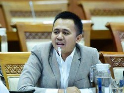 Anggota DPR Soroti 30 Wamen Jadi Komisaris tapi Rakyat Sulit Dapat Kerja
