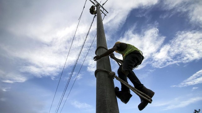 PLN fokus memperkuat sistem kelistrikan di SUTT Paiton-Situbondo jelang acara G20 di Bali.