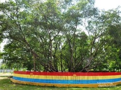 Pulau Maut dan Pulau Cinta di Sungai Musi