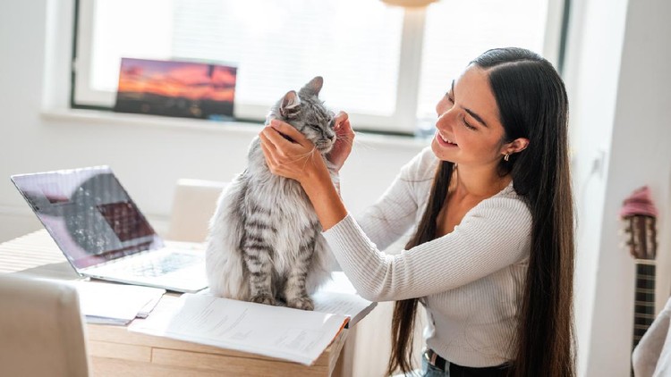 wanita dan hewan peliharaan Young Asian Woman Cuddling With Domestic Cat In The Kitchen