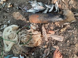 Warga Sidoarjo Menjala Ikan Malah Dapat Mortir