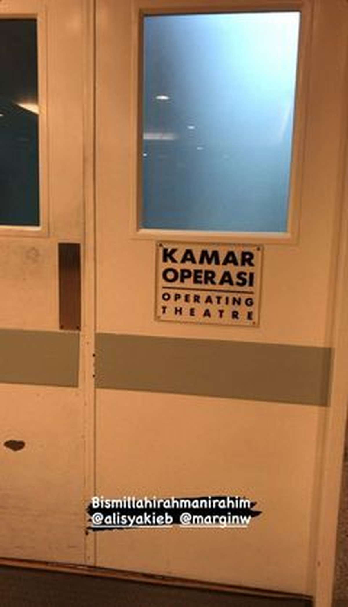 Momen Haru & Bahagia Margin Wieheerm Lahirkan Anak Pertama