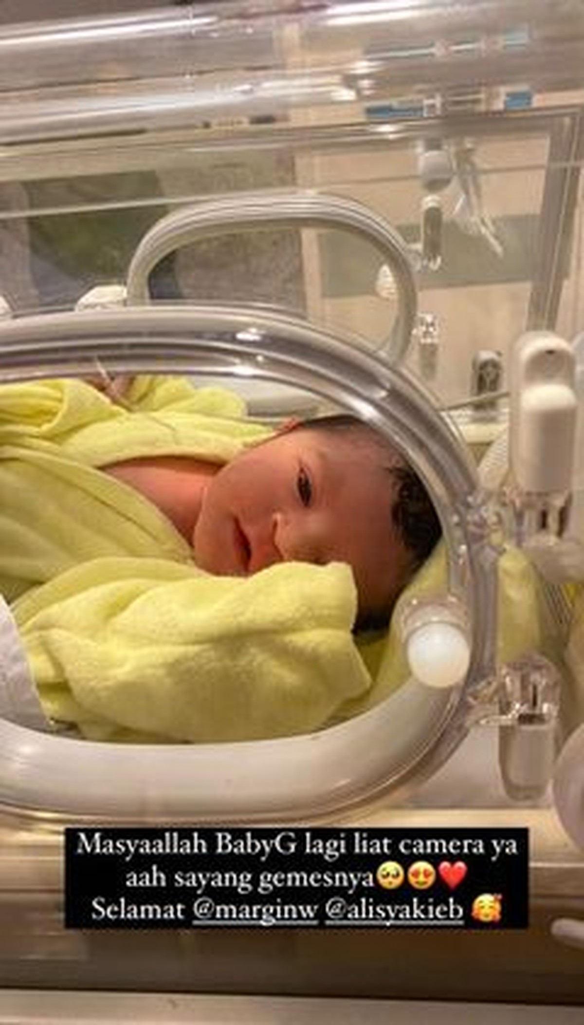 Momen Haru & Bahagia Margin Wieheerm Lahirkan Anak Pertama