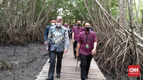 RI Tuan Rumah G20 2022, Dubes Inggris Cek Hutan Bakau di Bali