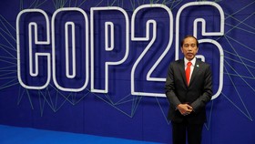 Beda Sikap Inggris dan RI Soal Deforestasi di COP26