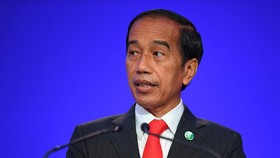 Motif Siti Elina Terobos Istana: Mau Tegur Jokowi soal Dasar Negara