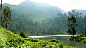 Ridwan Kamil Pamerkan Kualitas Air Sungai Citarum di KTT COP26