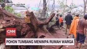 VIDEO: Pohon Tumbang Timpa Empat Rumah Warga