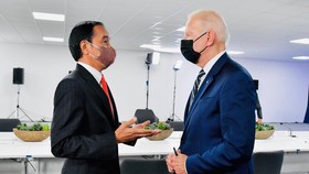 Bertemu Joe Biden, Jokowi Janji Restorasi 600 Ribu ha Hutan Bakau