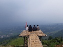 Menikmati Indahnya Panorama Bogor dari Bukit Alesano