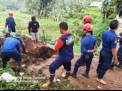 Geger Kabar Kemunculan Tiga Ular Besar di Pamulihan Garut