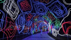Taman Zabeel di Dubai Dihiasi 10 Juta Lampu