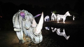 FOTO: Kemegahan Puluhan Juta Lampu di Taman Zabeel Dubai