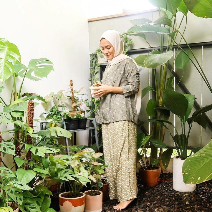 <p>Salah satu koleksi Enno adalah Xantosoma lindeni yang harganya Rp350 ribuan, Bunda. Ia juga memiliki Alocasia longiloba yang harganya mulai dari Rp75 ribuan saja. (Foto: Instagram: @ennolerian)</p>