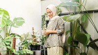 <p>Salah satu koleksi Enno adalah Xantosoma lindeni yang harganya Rp350 ribuan, Bunda. Ia juga memiliki Alocasia longiloba yang harganya mulai dari Rp75 ribuan saja. (Foto: Instagram: @ennolerian)</p>