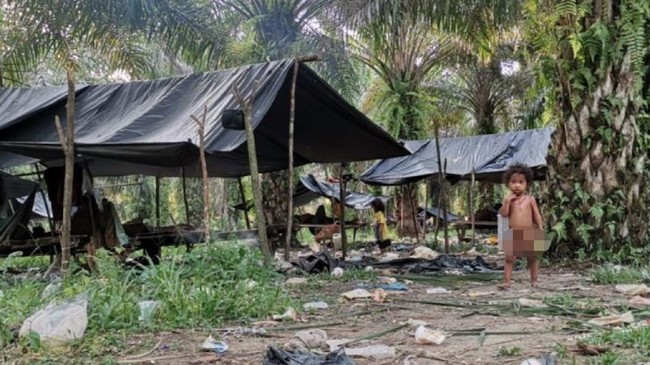 Polisi mengklaim bertindak persuasif dalam konflik lahan yang melibatkan Suku Anak Dalam dengan korporasi sawit di Jambi.