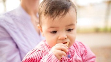 REKOMENDASI FINGER FOOD YANG AMAN UNTUK CAMILAN BAYI