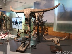 21 Museum di Bandung, Waktu Operasional dan Harga Tiket