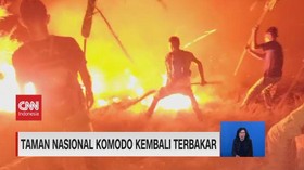 VIDEO: Taman Nasional Komodo Kembali Terbakar