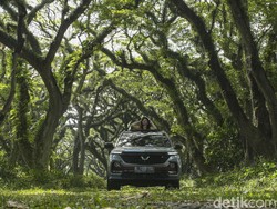 Asal-usul Hutan De Djawatan yang Masih Misterius