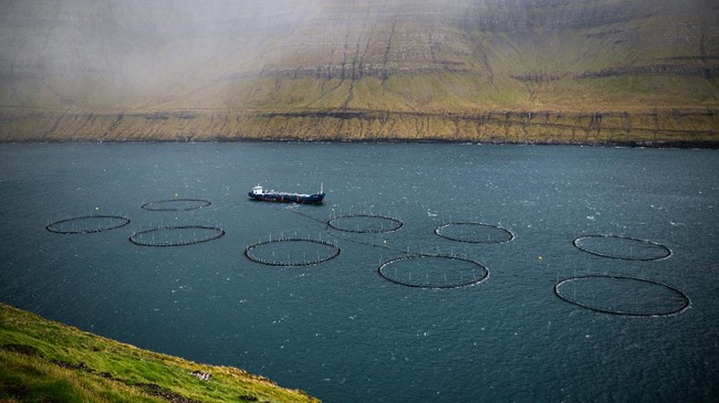 FOTO: Terpikat Dingin Surga Dunia Pulau Faroe
