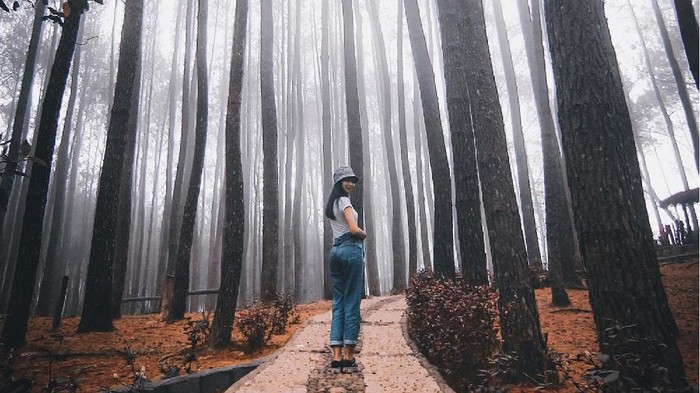 Rekomendasi 5 Tempat Wisata Murah Meriah yang Terkenal Indah di Jogja Rekomendasi 5 Tempat Wisata Murah Meriah yang Terkenal Indah di Jogja