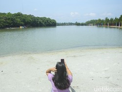 Ada Pantai Buatan di Bogor, Cek Wahana Apa Saja di Taman Wisata Wana Griya
