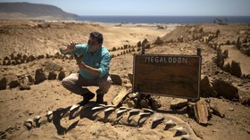 FOTO: Kuburan Fosil di Gurun Chili Singkap Harta Paleontologis