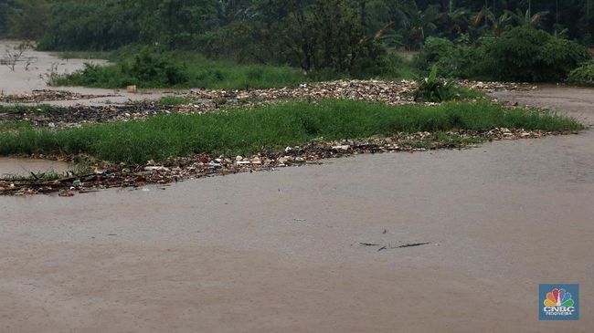 Ketinggian ada yang Capai 1,2 Meter