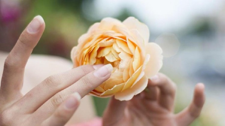 PERLUKAH MEMAKAI PELUMAS BERUPA MINYAK KELAPA MURNI? Untuk masalah vagina kering, pemakaian lubrikan bisa bantu mengatasinya. Tapi benarkah minyak kelapa bisa jadi salah satu pilihan?