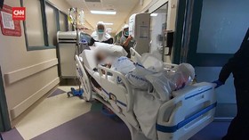 VIDEO: Pfizer Sebut Paxlovid 'Ampuh' Kurangi Gejala Berat Covid