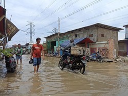 Rob Kembali Naik dan Genangi Muara Angke-Pelabuhan Sunda Kelapa