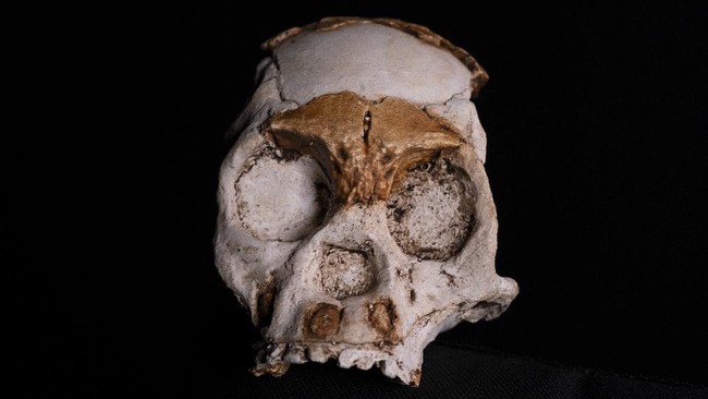 Sebuah tim peneliti menemukan fosil Homo naledi di sebuah gua di di Afrika Selatan.