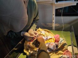 Dibuang Dalam Tas, Bayi Perempuan di Kota Blitar Ditemukan Masih Hidup