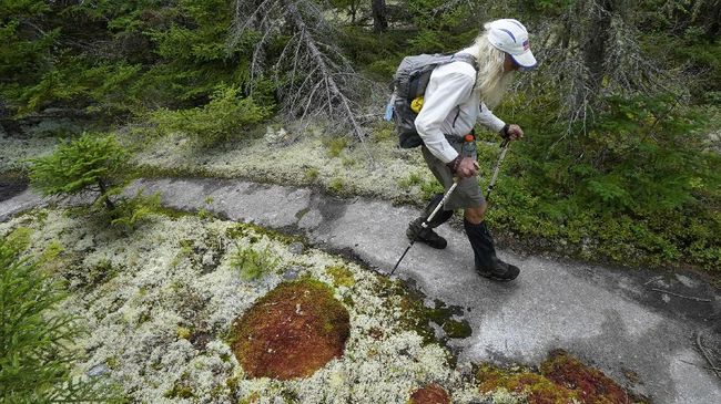M.J. "Sunny" Eberhart punya hobi jalan kaki usai pensiun. Saat ini ia memegang rekor sebagai pendaki tertua di Appalachian Trail.