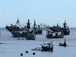 Ini Poin Penting Aturan Penangkapan Ikan Terukur, Bikin Nelayan Happy?