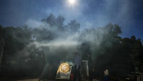 FOTO: Mencari Biji Kopi yang Terpanggang Matahari